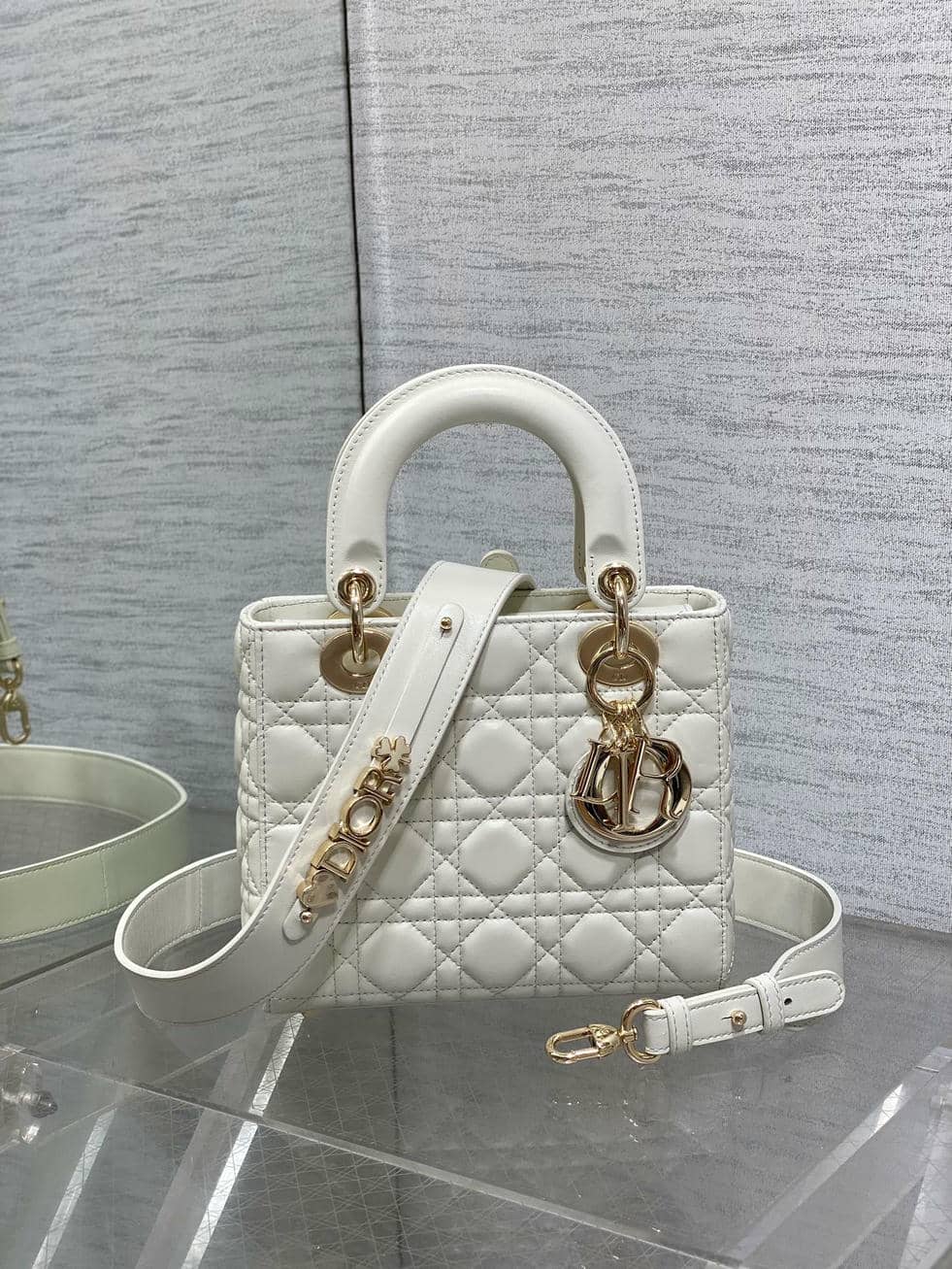 Bag Dior